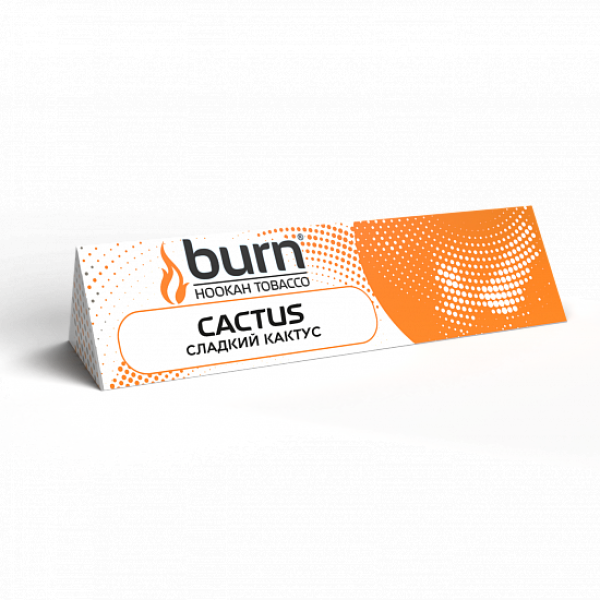 Табак BURN CACTUS 25 грамм в Томске