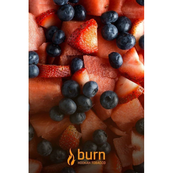 Табак Burn Berried Treasure 100 грамм в Томске