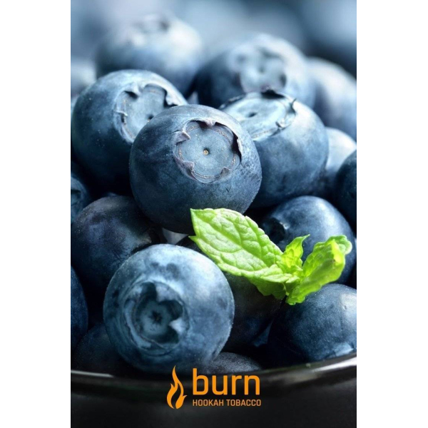 Табак Burn Blueberry Mint 100 грамм в Томске