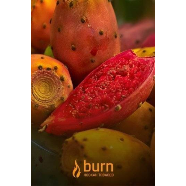 Табак Burn Cactus 100 грамм в Томске