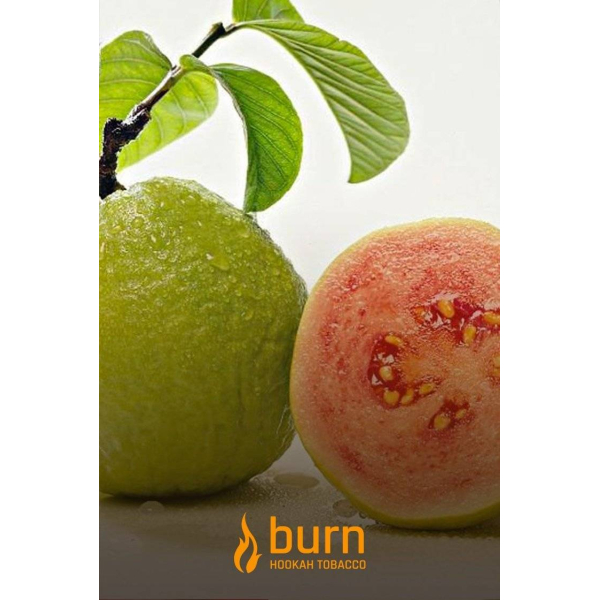 Табак Burn Guava 100 грамм в Томске