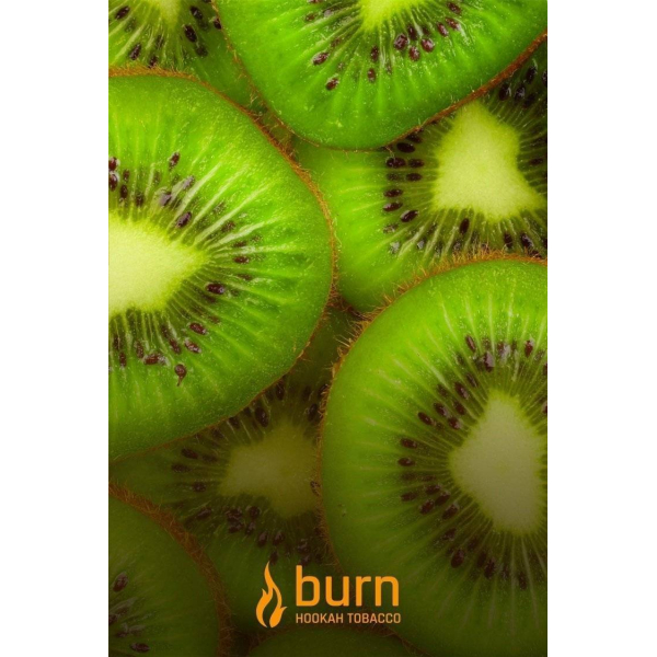 Табак Burn Kiwi 100 грамм в Томске