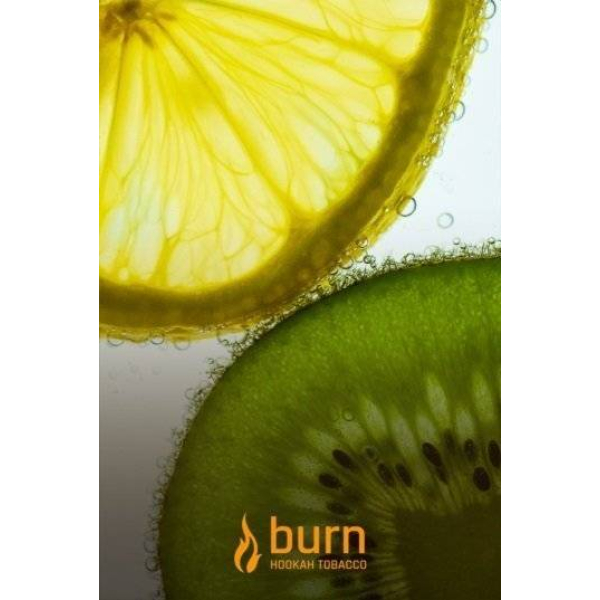 Табак Burn Kiwi Lemon 100 грамм в Томске