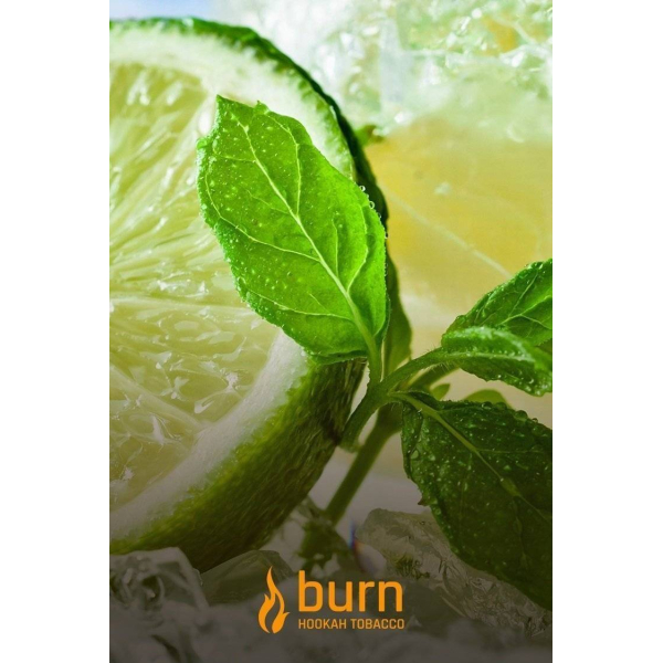 Табак Burn Lemon Mint 100 грамм в Томске