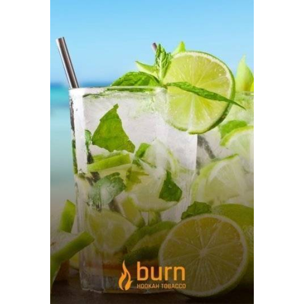 Табак Burn Mojito 100 грамм в Томске