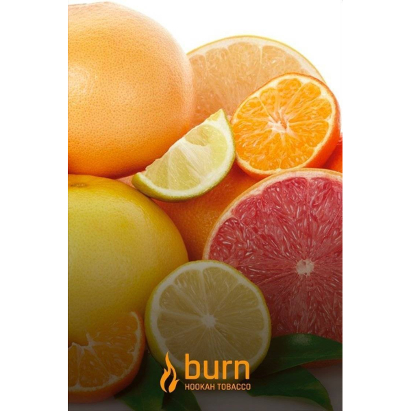 Табак Burn SundaySun 100 грамм в Томске