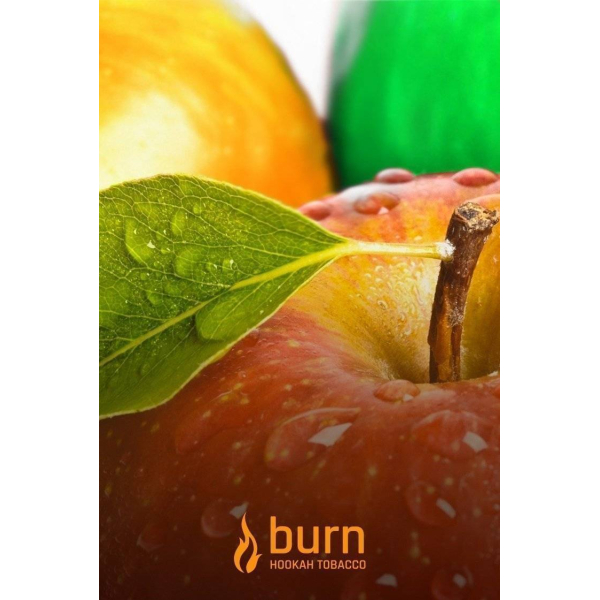 Табак Burn Three Apples 100 грамм в Томске