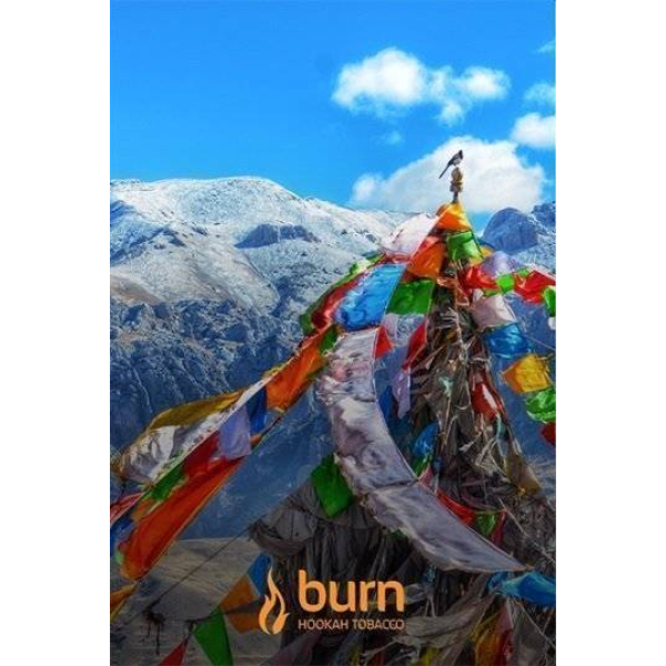 Табак Burn Tibet 100 грамм в Томске