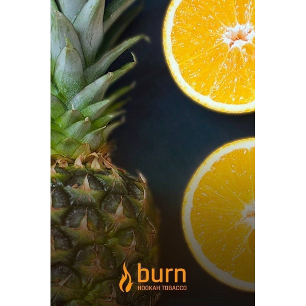 Табак Burn White Night 100 грамм в Томске