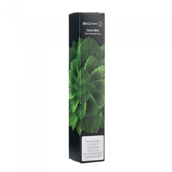 SOAK S Cane Mint (Тростниковая мята), 2500 тяг в Томске
