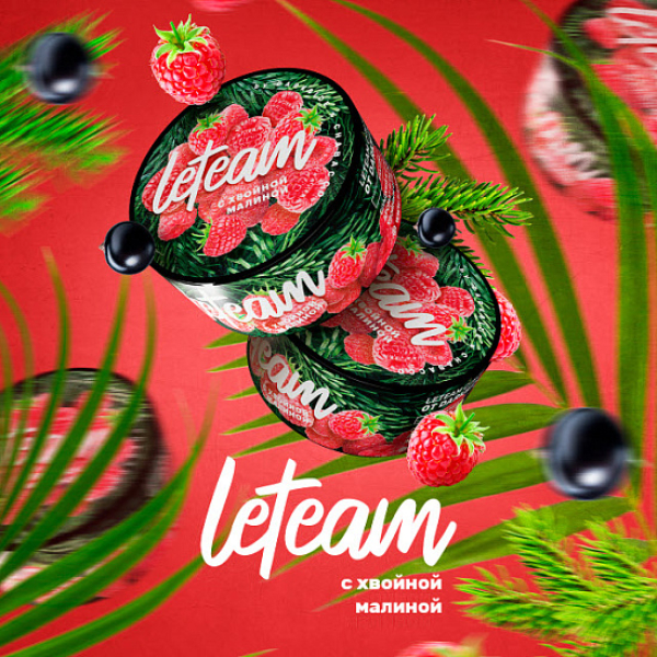Смесь Leteam С Хвойной Малиной 25 гр в Томске