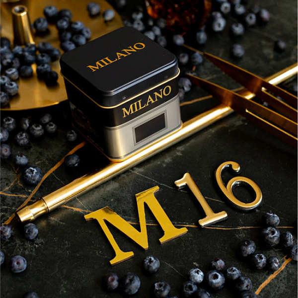 Табак MILANO GOLD М16 BILBERRY 100 гр в Томске
