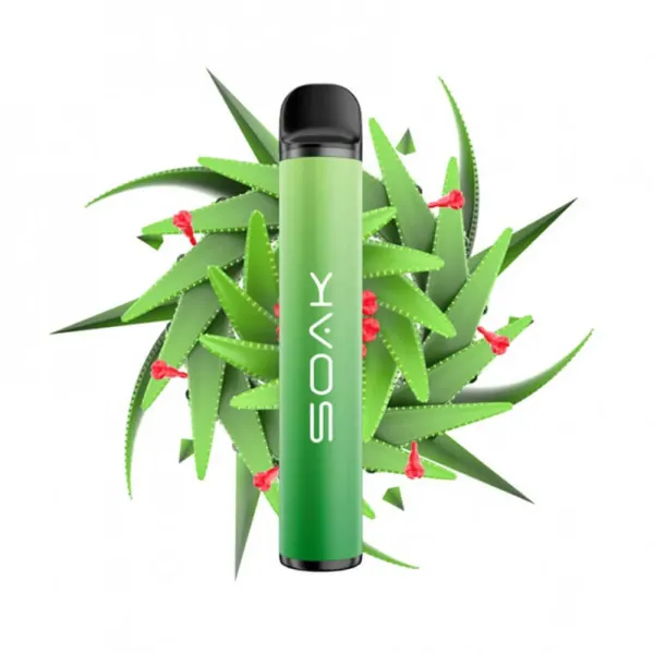 SOAK X Aloe Vera (Алое Вера), 1500 тяг в Томске
