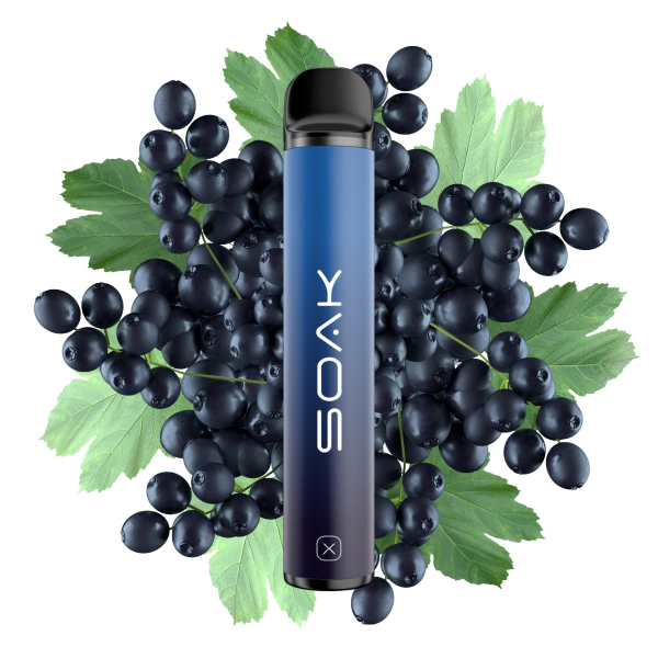 SOAK X Forest Blackcurrant (Лесная черная смородина), 1500 тяг в Томске