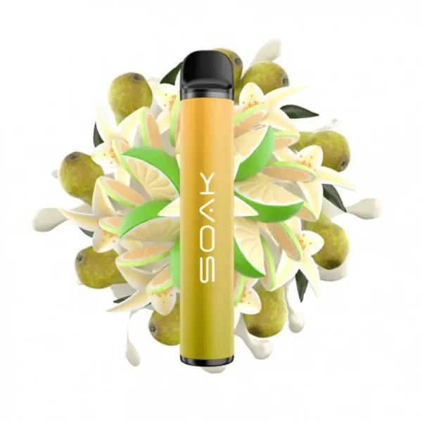 SOAK X Vanilla Pear (Ванильная груша с лаймом), 1500 тяг в Томске