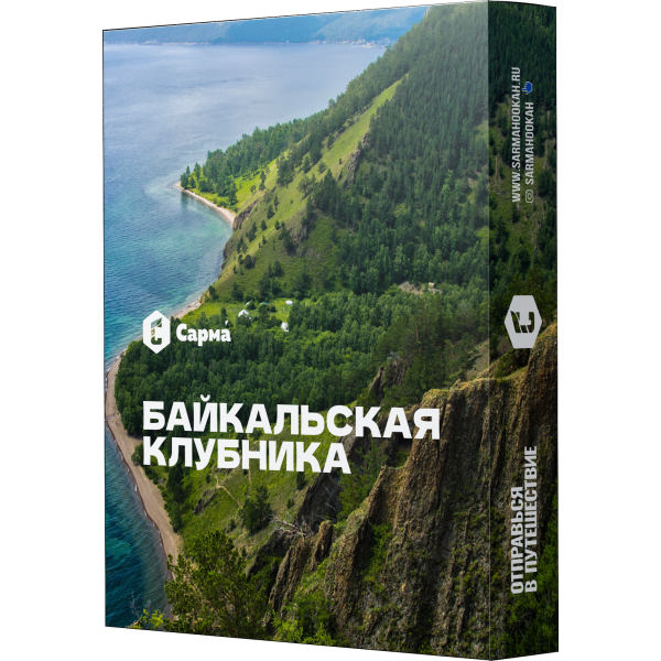 Табак Сарма Байкальская Клубника 25 гр в Томске