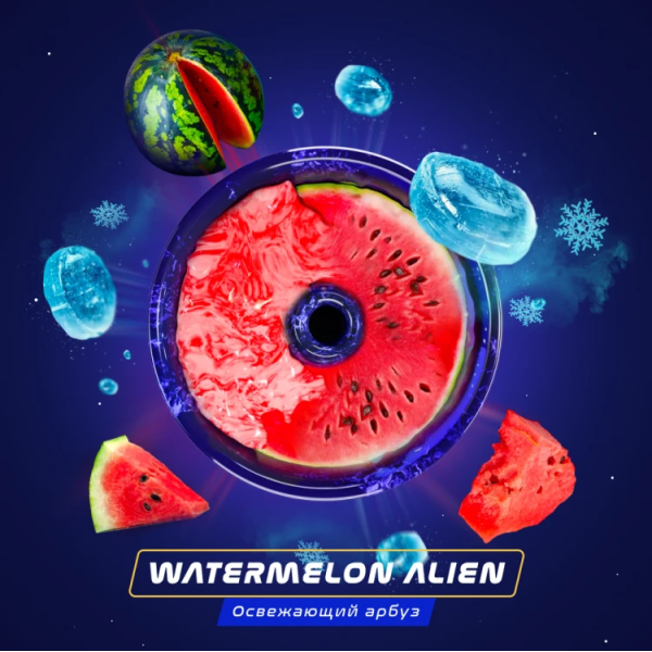 Паста Space Smoke BASIC Watermelon  Alien (Арбуз с  холодком) 125 гр в Томске