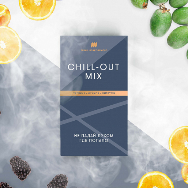 Табак Шпаковского Chill Out (Ежевика Фейхоа Цитрусы) 40 грамм в Томске