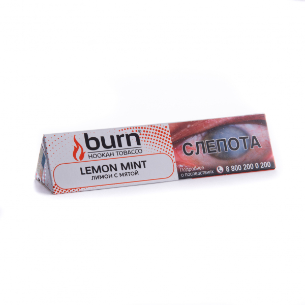 Табак Burn Lemon Mint  25 грамм в Томске