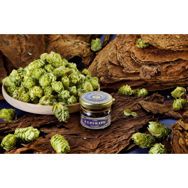 Табак WTO ULTIMATE ORGANIC UN2 Шишки Хмеля 20 грамм в Томске